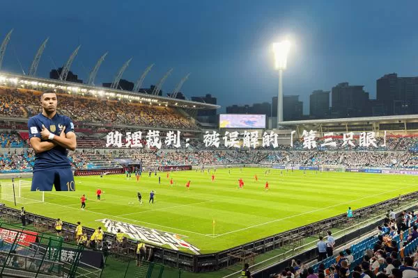 助理裁判：被误解的「第三只眼」